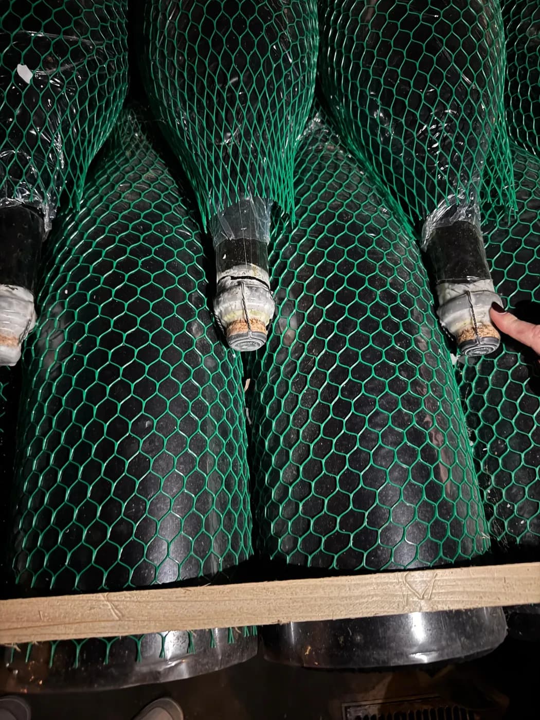 Franciacorta-Flaschen in Netzen bei der Hefelagerung im Keller von Contadi Castaldi