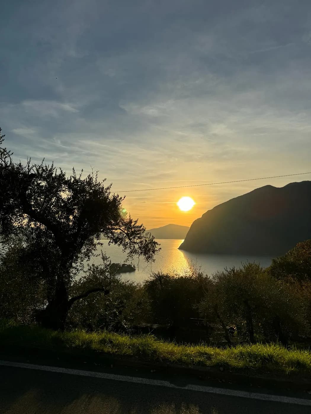 Sonnenuntergang über dem Lago d'Iseo mit Olivenbaum und kleiner Insel
