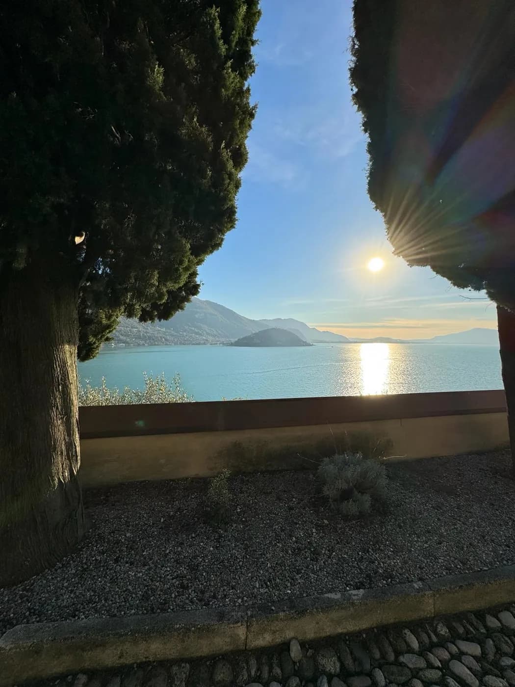 Blick zwischen Zypressen auf den Lago d'Iseo mit Sonnenspiegelung