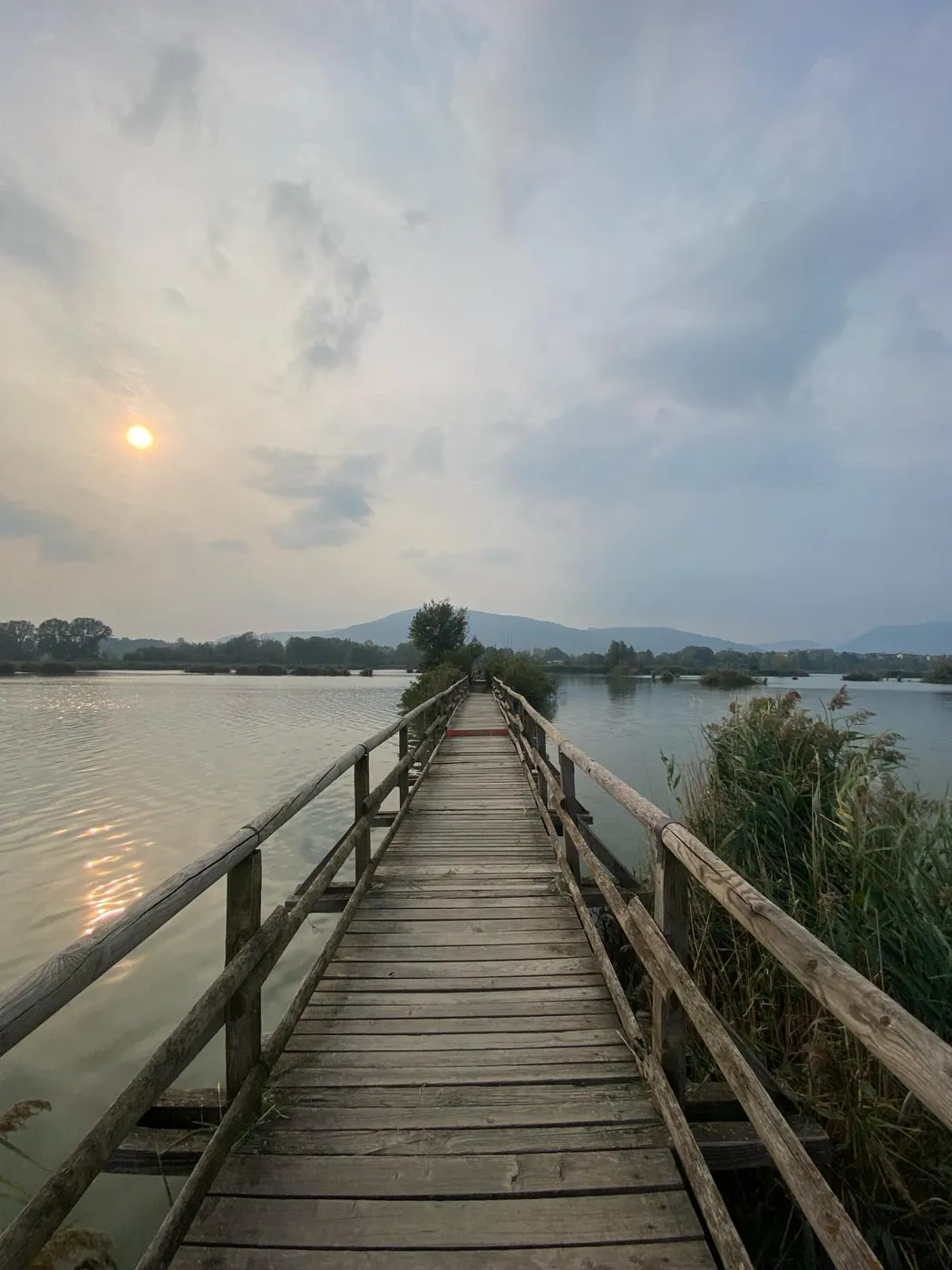Hölzerner Bohlensteg über die Wasserflächen der Torbiere del Sebino