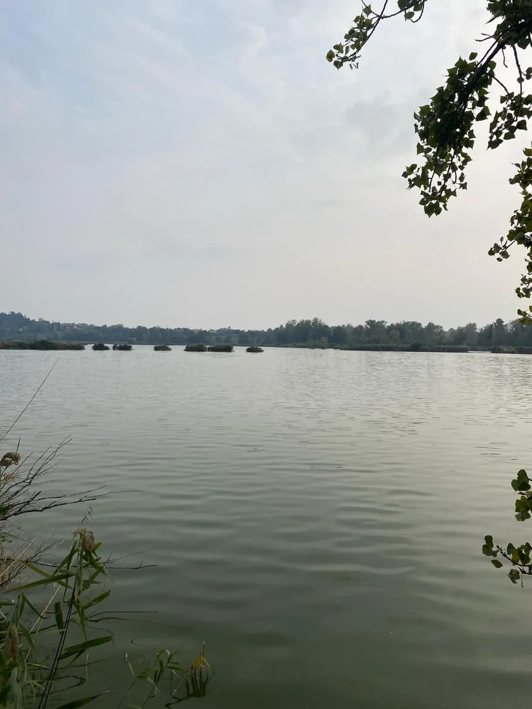 Schilfgesäumter Teich der Torbiere del Sebino mit kleinen Inseln aus Wasserpflanzen